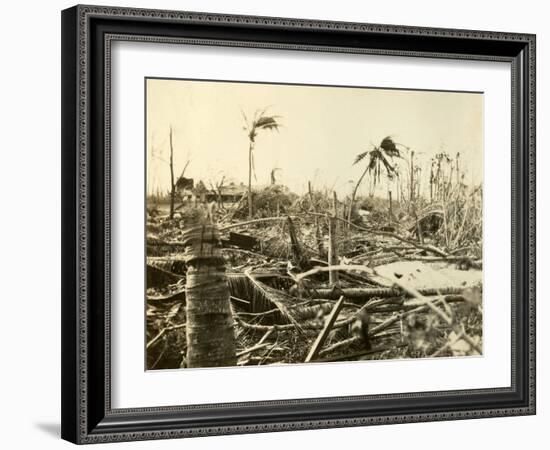 Cape Florida-null-Framed Photographic Print