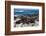 Cape Fur Seal Colony. Western Cape, South Africa-Pete Oxford-Framed Photographic Print