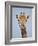 Cape Giraffe (Giraffa Camelopardalis Giraffa), Kruger National Park, South Africa, Africa-James Hager-Framed Photographic Print