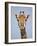 Cape Giraffe (Giraffa Camelopardalis Giraffa), Kruger National Park, South Africa, Africa-James Hager-Framed Photographic Print