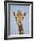 Cape Giraffe (Giraffa Camelopardalis Giraffa), Kruger National Park, South Africa, Africa-James Hager-Framed Photographic Print