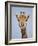 Cape Giraffe (Giraffa Camelopardalis Giraffa), Kruger National Park, South Africa, Africa-James Hager-Framed Photographic Print