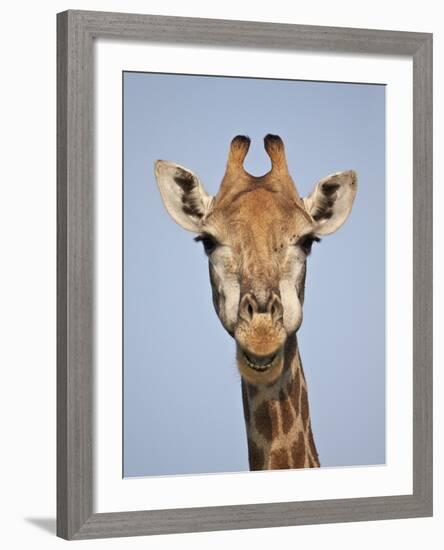 Cape Giraffe (Giraffa Camelopardalis Giraffa), Kruger National Park, South Africa, Africa-James Hager-Framed Photographic Print