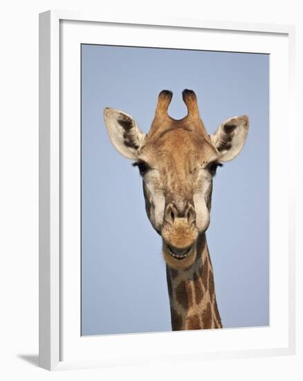 Cape Giraffe (Giraffa Camelopardalis Giraffa), Kruger National Park, South Africa, Africa-James Hager-Framed Photographic Print