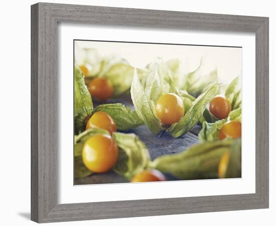 Cape Gooseberries, Physalis, Wood, Board, Brown, Orange-Axel Killian-Framed Photographic Print