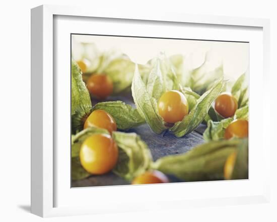 Cape Gooseberries, Physalis, Wood, Board, Brown, Orange-Axel Killian-Framed Photographic Print