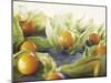 Cape Gooseberries, Physalis, Wood, Board, Brown, Orange-Axel Killian-Mounted Photographic Print