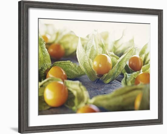 Cape Gooseberries, Physalis, Wood, Board, Brown, Orange-Axel Killian-Framed Photographic Print