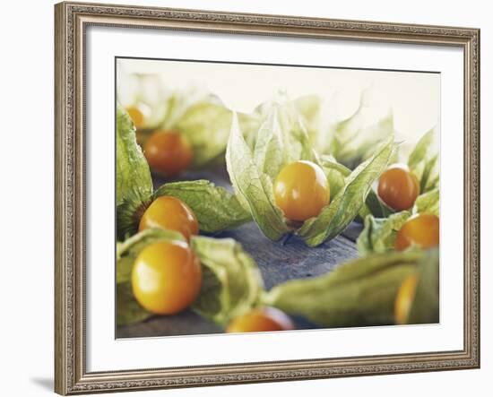 Cape Gooseberries, Physalis, Wood, Board, Brown, Orange-Axel Killian-Framed Photographic Print