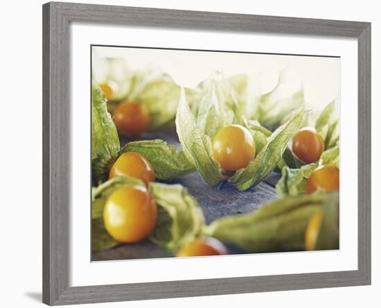 Cape Gooseberries, Physalis, Wood, Board, Brown, Orange-Axel Killian-Framed Photographic Print