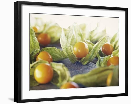 Cape Gooseberries, Physalis, Wood, Board, Brown, Orange-Axel Killian-Framed Photographic Print