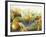 Cape Gooseberries, Physalis, Wood, Board, Brown, Orange-Axel Killian-Framed Photographic Print