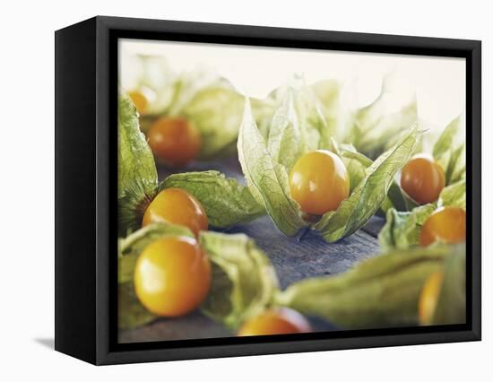 Cape Gooseberries, Physalis, Wood, Board, Brown, Orange-Axel Killian-Framed Premier Image Canvas