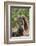 Cape ground squirrel (Xerus inauris), juvenile, Kgalagadi Transfrontier Park, South Africa, Africa-James Hager-Framed Photographic Print