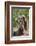 Cape ground squirrel (Xerus inauris), juvenile, Kgalagadi Transfrontier Park, South Africa, Africa-James Hager-Framed Photographic Print