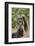 Cape ground squirrel (Xerus inauris), juvenile, Kgalagadi Transfrontier Park, South Africa, Africa-James Hager-Framed Photographic Print