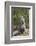 Cape ground squirrel (Xerus inauris), juvenile, Kgalagadi Transfrontier Park, South Africa, Africa-James Hager-Framed Photographic Print