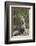 Cape ground squirrel (Xerus inauris), juvenile, Kgalagadi Transfrontier Park, South Africa, Africa-James Hager-Framed Photographic Print