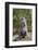 Cape ground squirrel (Xerus inauris), juvenile, Kgalagadi Transfrontier Park, South Africa, Africa-James Hager-Framed Photographic Print