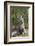 Cape ground squirrel (Xerus inauris), juvenile, Kgalagadi Transfrontier Park, South Africa, Africa-James Hager-Framed Photographic Print