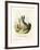 Cape Hare-null-Framed Giclee Print