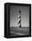 Cape Hatteras Lighthouse-Eliot Elisofon-Framed Premier Image Canvas