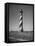 Cape Hatteras Lighthouse-Eliot Elisofon-Framed Premier Image Canvas