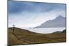 Cape Horn at the far southern end of South America, in the islands of Cape Horn National Park, Pata-Alex Robinson-Mounted Photographic Print