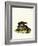 Cape Hyrax-null-Framed Giclee Print