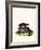 Cape Hyrax-null-Framed Giclee Print