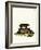 Cape Hyrax-null-Framed Giclee Print