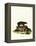 Cape Hyrax-null-Framed Premier Image Canvas