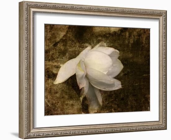 Cape Jasmine Gardenia 1-Jai Johnson-Framed Giclee Print