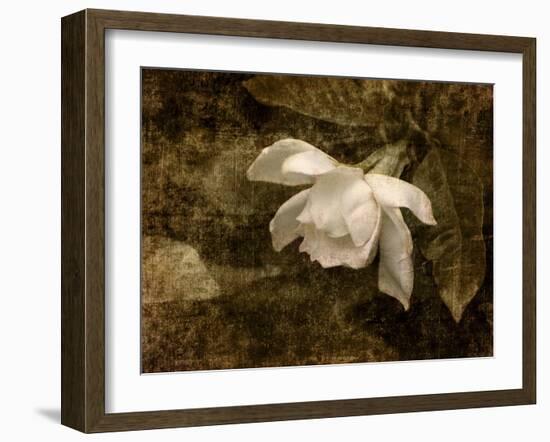Cape Jasmine Gardenia 2-Jai Johnson-Framed Giclee Print
