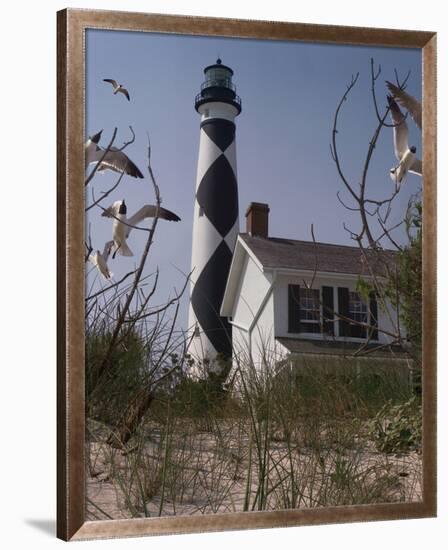 Cape Lookout II-Steve Hunziker-Framed Art Print