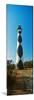 Cape Lookout Lighthouse, Outer Banks, North Carolina, Usa-null-Mounted Photographic Print