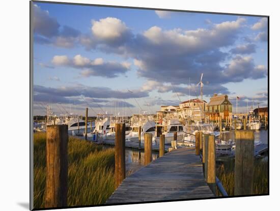 Cape May Harbor, Cape May County, New Jersey, United States of America, North America-Richard Cummins-Mounted Photographic Print