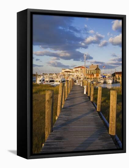 Cape May Harbor, Cape May County, New Jersey, United States of America, North America-Richard Cummins-Framed Premier Image Canvas