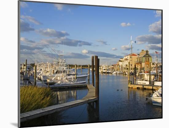 Cape May Harbor, Cape May County, New Jersey, United States of America, North America-Richard Cummins-Mounted Photographic Print