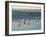 Cape May Herring Gulls-Bruce Dumas-Framed Giclee Print