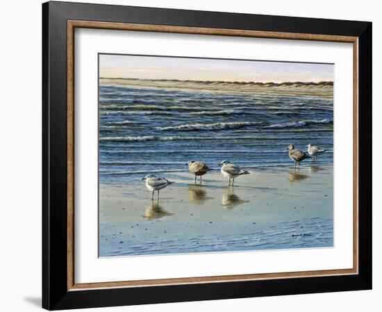 Cape May Herring Gulls-Bruce Dumas-Framed Giclee Print