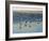 Cape May Herring Gulls-Bruce Dumas-Framed Giclee Print