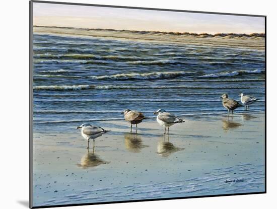 Cape May Herring Gulls-Bruce Dumas-Mounted Giclee Print