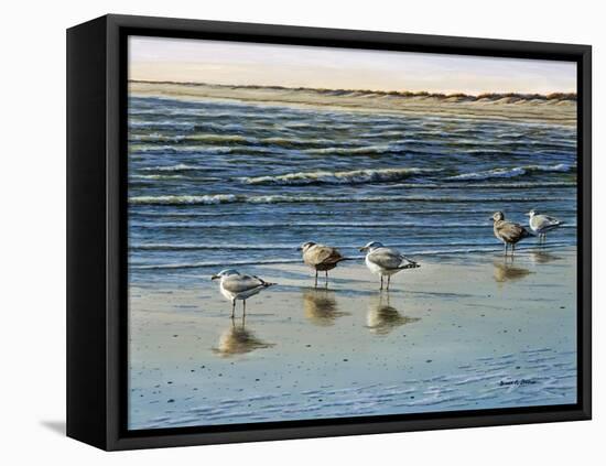 Cape May Herring Gulls-Bruce Dumas-Framed Premier Image Canvas