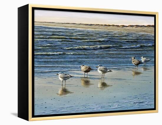 Cape May Herring Gulls-Bruce Dumas-Framed Premier Image Canvas