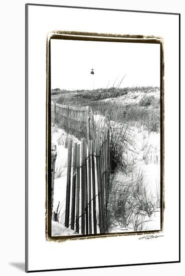 Cape May Lighthouse II-Laura Denardo-Mounted Art Print