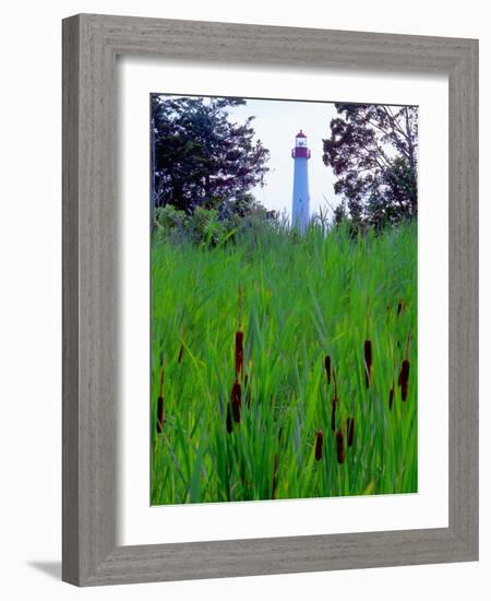 Cape May Point Lighthouse, New Jersey-George Oze-Framed Photographic Print