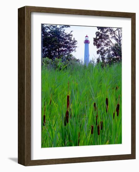 Cape May Point Lighthouse, New Jersey-George Oze-Framed Photographic Print