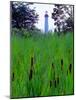 Cape May Point Lighthouse, New Jersey-George Oze-Mounted Photographic Print