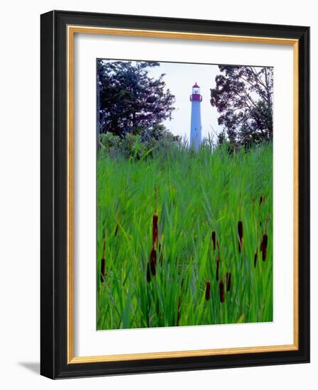 Cape May Point Lighthouse, New Jersey-George Oze-Framed Photographic Print